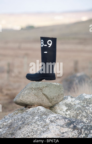 Isle of Lewis, Uig Bay, wo 78 Schachfiguren gefunden wurden, geschnitzt in Walross-Elfenbein, am äußeren Hebriden, Scotland.Photo:Jeff Gilbert Stockfoto