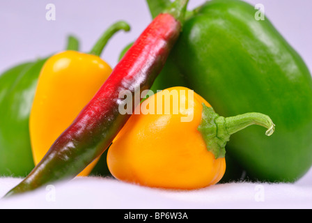 Verschiedene Arten von Paprika auf weißem Hintergrund Stockfoto