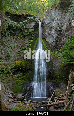 Marymere Falls, in Olympic Nationalpark fällt 90 Fuß in Barnes Creek vor seinen Weg zum nahe gelegenen Mondsichelsee. Stockfoto