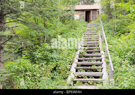 Treppe bis zum graue Eule Frau Kabine in Prince Albert National Park, Saskatchewan, Kanada. Stockfoto