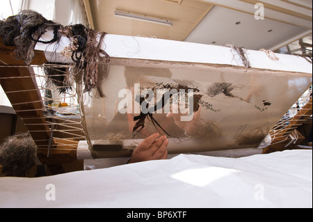 Weibliche Fabrikarbeiterin, die Seide bestickt, am Forschungsinstitut für Stickerei in Suzhou, China. Stockfoto