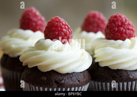 Schokolade und Himbeer-Muffins Stockfoto