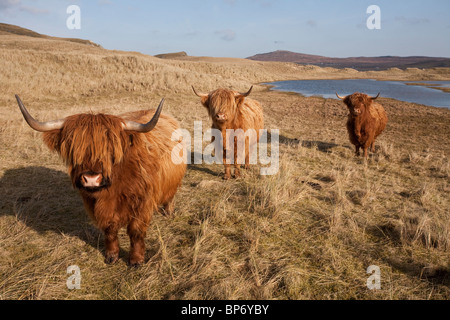 Isle of Lewis, Uig Bay, wo 78 Schachfiguren gefunden wurden, geschnitzt in Walross-Elfenbein, am äußeren Hebriden, Scotland.Photo:Jeff Gilbert Stockfoto