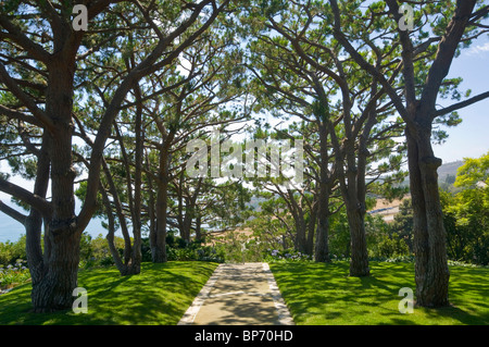 Von Bäumen gesäumten Weg und Rasen bei The Wayfarers Chapel, Palos Verdes Peninsula, Los Angeles County, Kalifornien Stockfoto