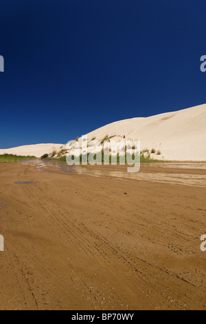 Die Te Paki Dampf- und Sanddünen in der Neuseeland Northland. Stockfoto