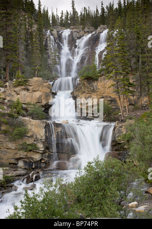 Tangle Creek Falls im Jasper-Nationalpark, Rocky Mountains, Kanada Stockfoto