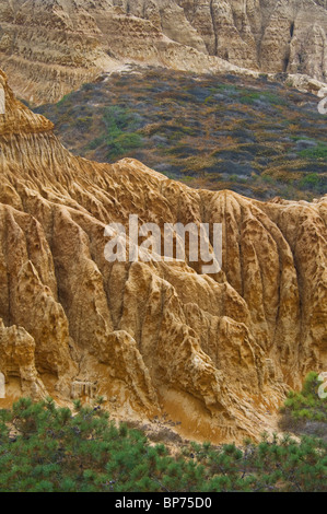 Erodierten Felsen in der Nähe von Torrey Pines State Reserve, Razor Point, San Diego, Kalifornien Stockfoto