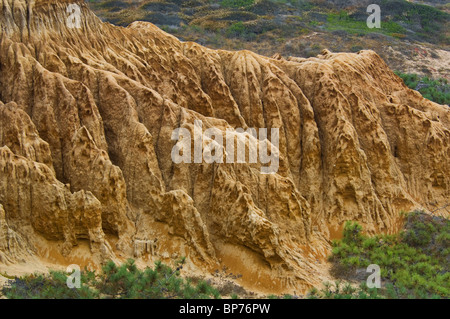 Erodierten Felsen in der Nähe von Torrey Pines State Reserve, Razor Point, San Diego, Kalifornien Stockfoto