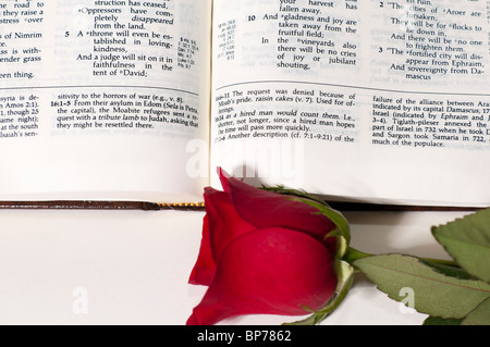 Ein Ryrie Study Bible und einer langen Stängel rote Rose auf weißem Grund. Ausschnitt. Stockfoto