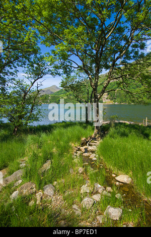 Llyn Gwynant See, Merionethshire, Snowdonia, North Wales, UK Stockfoto