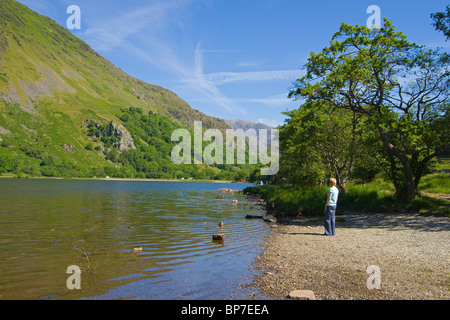 Llyn Gwynant See, Merionethshire, Snowdonia, North Wales, UK Stockfoto