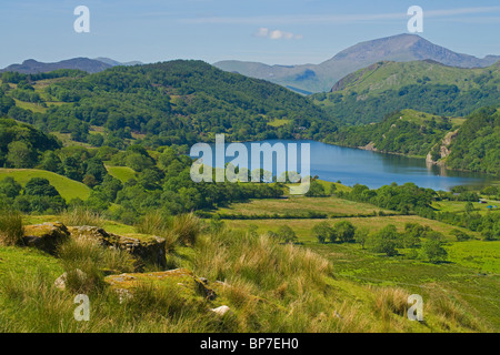 Llyn Gwynant See, Merionethshire, Snowdonia, North Wales, UK Stockfoto