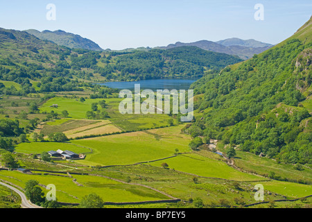 Llyn Gwynant See, Merionethshire, Snowdonia, North Wales, UK Stockfoto