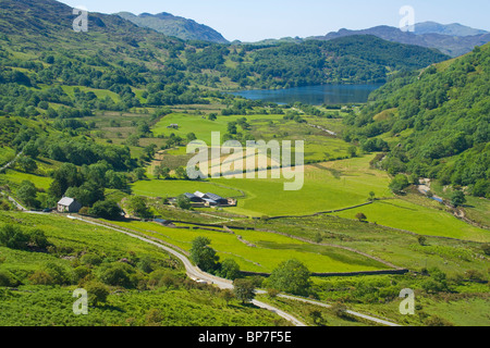 Llyn Gwynant See, Merionethshire, Snowdonia, North Wales, UK Stockfoto