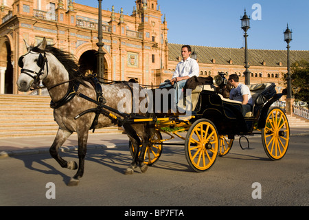 Traber ziehen Schlitten und Touristen um die Vorderseite des Sevilla ist der Plaza de España de Sevilla. Sevilla, Spanien. Stockfoto