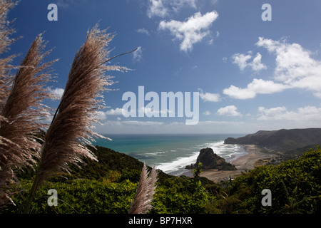 Ansichten von Piha Beach in Neuseeland mit Lion Rock Stockfoto