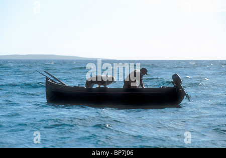 Fischer und Hund setzen Hummerkörbe von einem Holzkurrach oder Curragh aus, einem traditionellen Holzfischereiboot, Errelough, Connemara, Irland. Stockfoto