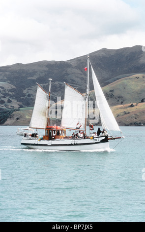 Ein Segeln Ketsch verwendet für Ökologie basiert Passagierfahrten in Akaroa Harbour in der Nähe von Christchurch Südinsel Neuseeland Stockfoto