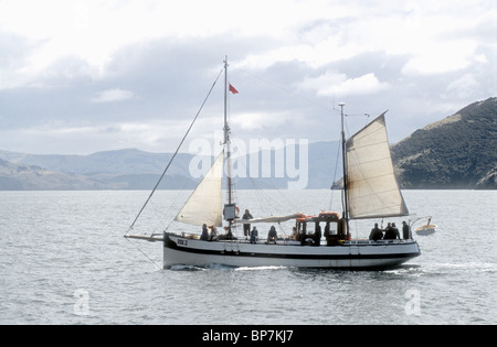 Ein Segeln Ketsch verwendet für Ökologie basiert Passagierfahrten in Akaroa Harbour in der Nähe von Christchurch Südinsel Neuseeland Stockfoto