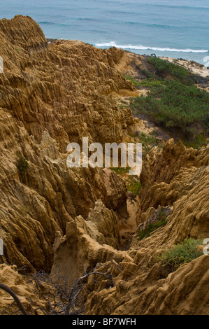 Erodierten Felsen in der Nähe von Torrey Pines State Reserve, Razor Point, San Diego, Kalifornien Stockfoto