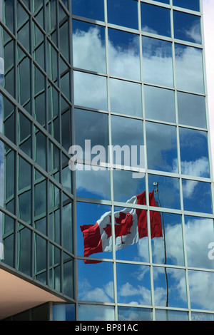 Kanadische Flagge spiegelt sich in Hochhaus, Halifax, Nova Scotia, Kanada, Nordamerika. Foto: Willy Matheisl Stockfoto