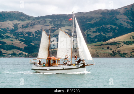 Ein Segeln Ketsch verwendet für Ökologie basiert Passagierfahrten in Akaroa Harbour in der Nähe von Christchurch Südinsel Neuseeland Stockfoto