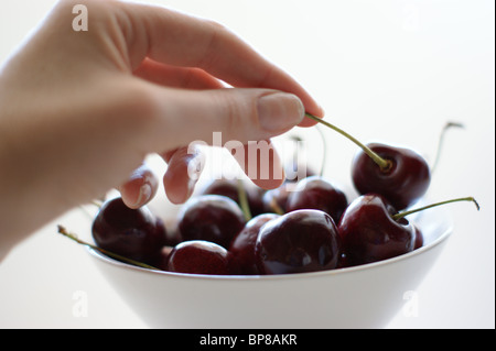 Cherry Picking Stockfoto