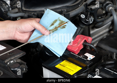 Kfz-Mechaniker prüft den Ölstand im Motor eines Autos bei der routinemäßigen Wartung. Stockfoto