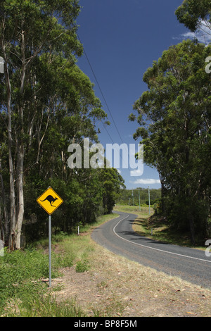Ein Schild warnt vor Cangaroos auf einer Landstraße in Queensland, Australien. Stockfoto