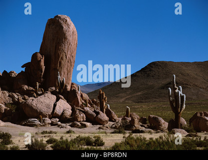 Ungewöhnlich geformten Felsformationen. Provinz Jujuy, Argentinien, Südamerika Stockfoto