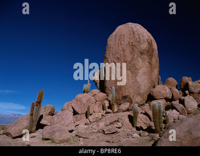 Ungewöhnlich geformten Felsformationen. Provinz Jujuy, Argentinien, Südamerika Stockfoto