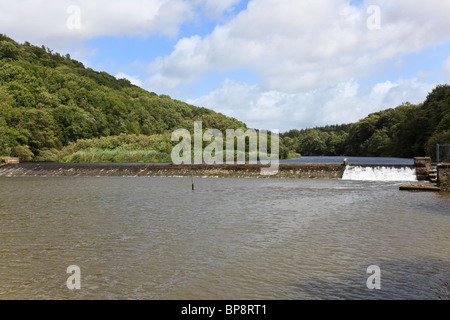 Blick auf Lopwell Damm am Fluß Tavy in der Nähe von Tamerton Foliot, Devon, Uk Stockfoto