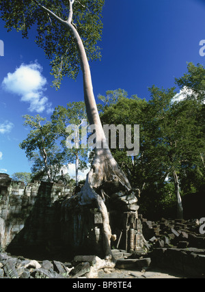 Steinerne Ruinen von Preah Khan Tempel. Angkor, Kambodscha Stockfoto