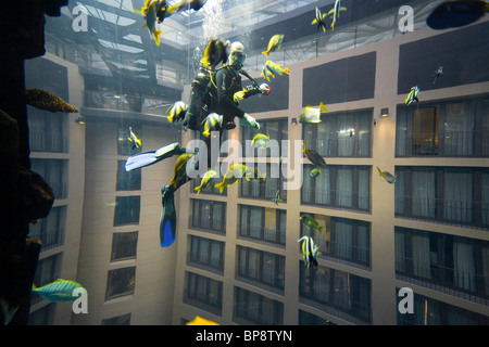 Das 5 Sterne Radisson SAS Hotel verfügt über das weltweit größte zylindrische Aquarium. Eingang zum Aqua Dom, ein Taucher reinigt Tank, Stockfoto