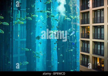 Das 5 Sterne Radisson SAS Hotel verfügt über das weltweit größte zylindrische Aquarium. Eingang zum Aqua Dom, ein Taucher reinigt Tank, Stockfoto