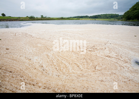 Schaum schwimmt auf dem Fluss Ribble in der Nähe von Clitheroe, Lancashire, UK. Stockfoto