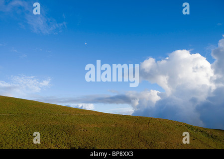 Mond über Hügel voller Heidekraut, in der Nähe von Rabacal, Paul da Serra Plateau, Madeira, Portugal Stockfoto