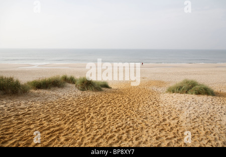 Fußabdrücke Links an einem Sandstrand, Deutschland Stockfoto