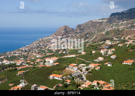 Blick über die Weinberge der Madeira Wine Company, Estreito de Camara de Lobos, Madeira, Portugal Stockfoto