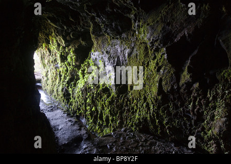 Tunnel am Levada do Caldeiro Verde gehen, Queimadas, Madeira, Portugal Stockfoto