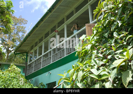 Vogelbeobachter, Asa Wright Nature Centre, Trinidad, Caribbean. Stockfoto