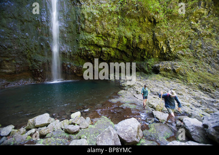 Wanderer am Wasserfall auf Levada do Caldeiro Verde gehen, Queimadas, Madeira, Portugal Stockfoto