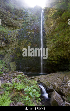 Wasserfall auf Levada do Caldeiro Verde gehen, Queimadas, Madeira, Portugal Stockfoto