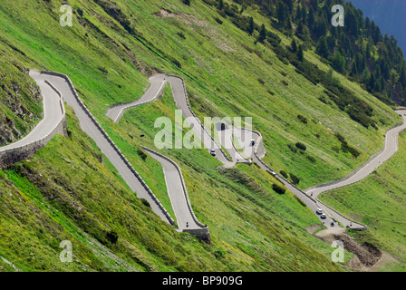 Serpentine, Nationalpark Stilfser Joch, Trentino-Alto Adige/South Tyrol, Italien Stockfoto