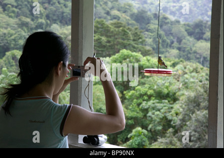 Vogelbeobachter, Asa Wright Nature Centre, Trinidad, Caribbean. Stockfoto