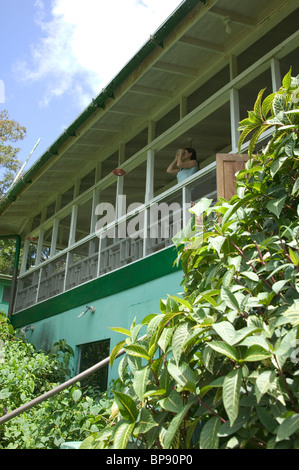 Vogelbeobachter, Asa Wright Nature Centre, Trinidad, Caribbean. Stockfoto