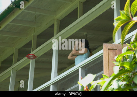 Vogelbeobachter, Asa Wright Nature Centre, Trinidad, Caribbean. Stockfoto