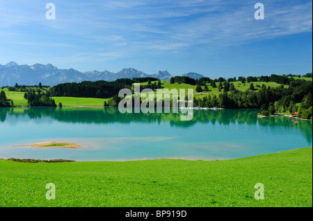 See Forggensee mit Tannheim im Hintergrund, Ost-Allgäu, Bayern, Deutschland Stockfoto