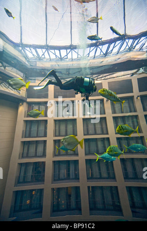 Das 5 Sterne Radisson SAS Hotel verfügt über das weltweit größte zylindrische Aquarium. Eingang zum Aqua Dom, ein Taucher reinigt Tank, Stockfoto