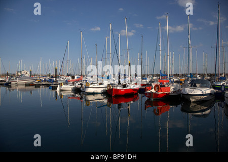 Yachten und Boote vertäut an einem ruhigen Tag in Carrickfergus Marina County Antrim-Nordirland Vereinigtes Königreich Stockfoto